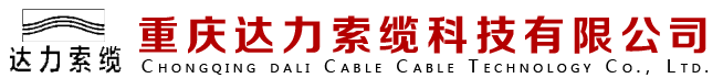 重庆达力索缆科技有限公司